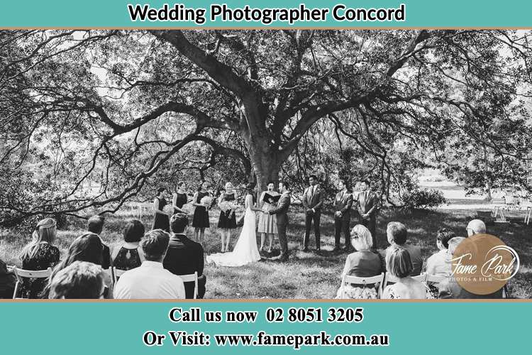 Wedding ceremony under the big tree photo Concord NSW 2137