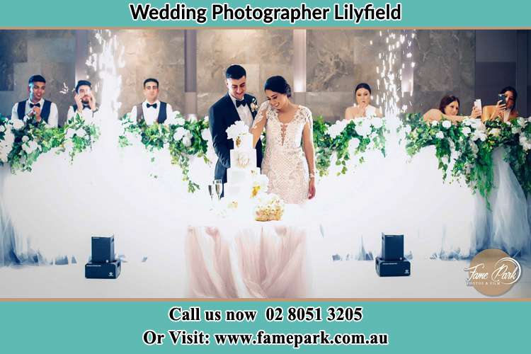 Photo of the Groom and the Bride slicing the cake Lilyfield NSW 2040