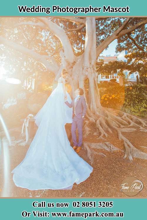 Photo of the Bride and the Groom looking each other besides the tree Mascot NSW 2020