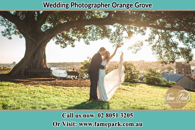 Photo of the Bride and the Groom kissing under the tree Orange Grove NSW 2380