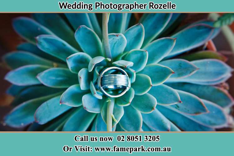 Photo of the wedding ring design at the top of the plant Rozelle NSW 2039