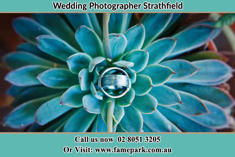 Photo of the wedding ring design at the top of the plant Strathfield NSW 2135