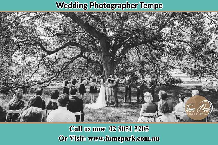 Wedding ceremony under the big tree photo Tempe NSW 2044